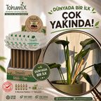 Tohimix Bitmeyen Tohumlu Kalem - 5'li Ev ve Ofis Seti